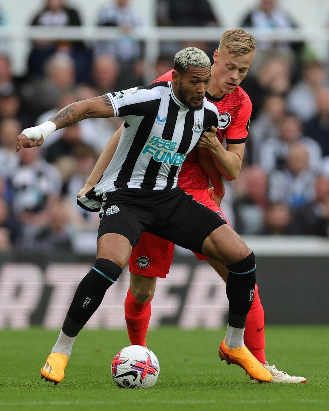 球文化的更 球文化的更